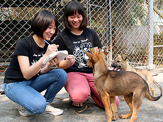 有人疼的狗狗像個「寶」　中正大學寶生社為流浪動物發聲