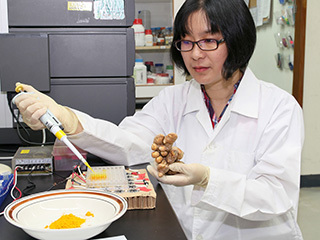 薑黃「新抗癌標靶治療」　有效殺癌不傷身　
