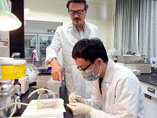 國際研究重大發現！ 有效治療攝護腺癌 中正大學生醫系張德卿開發基因治療