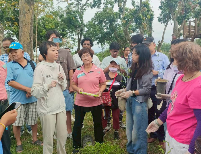 中正大學USR團隊推動跨文化永續農耕——國際學生齊聚嘉義水上，體驗紅骨仙草種植與樂齡共學圖片