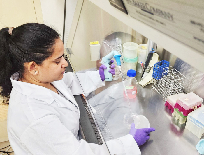 Allergy Drug Shows Promise as a New Anti-Cancer Weapon: CCU-Led Research Team Published in Molecular Medicine