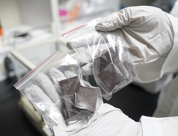 該研究所使用之85%黑巧克力