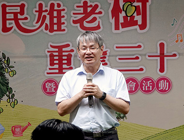 百年芒果老樹找到新家　70棵移居中正大學