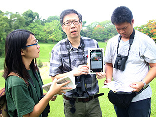 中正創校園生態APP建上百筆圖鑑  網羅雲嘉獨有諸羅樹蛙等物種