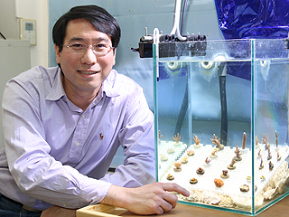 植骨材料多選擇　中正大學副教授丁初稷首創珊瑚快速繁殖技術