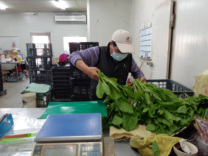 中正高跨中心設立嘉義縣銀髮人才服務據點　提升中高齡者勞參率
