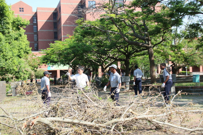 丹娜絲後重建　慈濟國際學生與中正師生超過百人協力清理校園圖片
