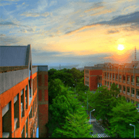 CCU View